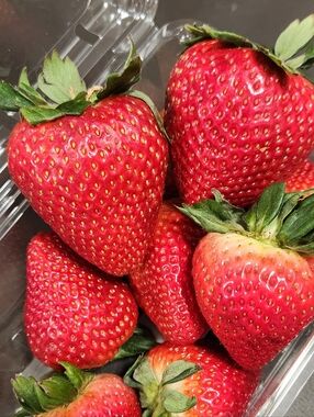 Meet your Posher, Tia